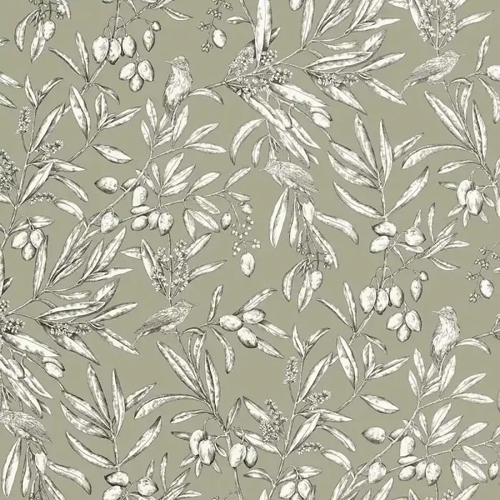 Aceituna Wallpaper Coordonné