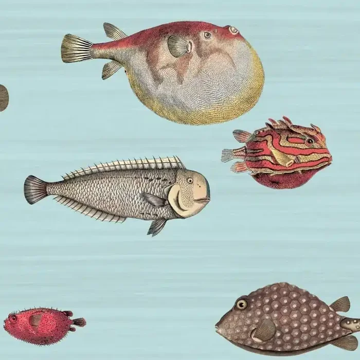 Acquario Wallpaper Cole and Son
