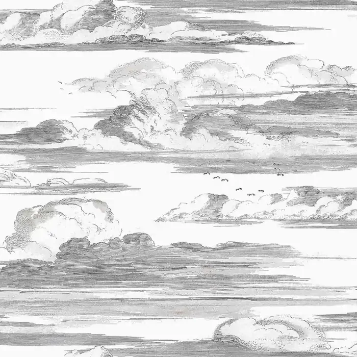 Cielo wallpaper Thibaut
