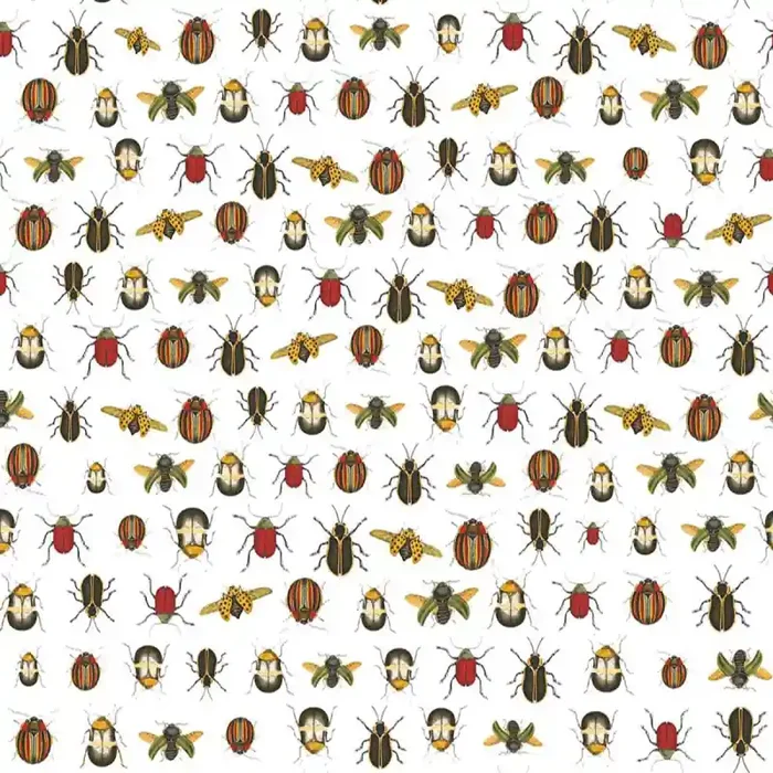 Coleopter Wallpaper Tres Tintas Barcelona
