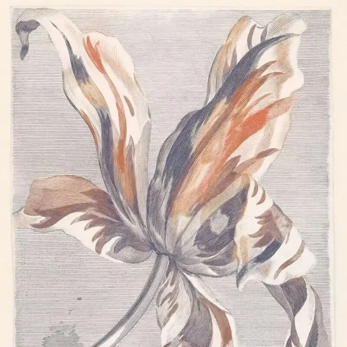 Tulip Teyler Panel Eijffinger
